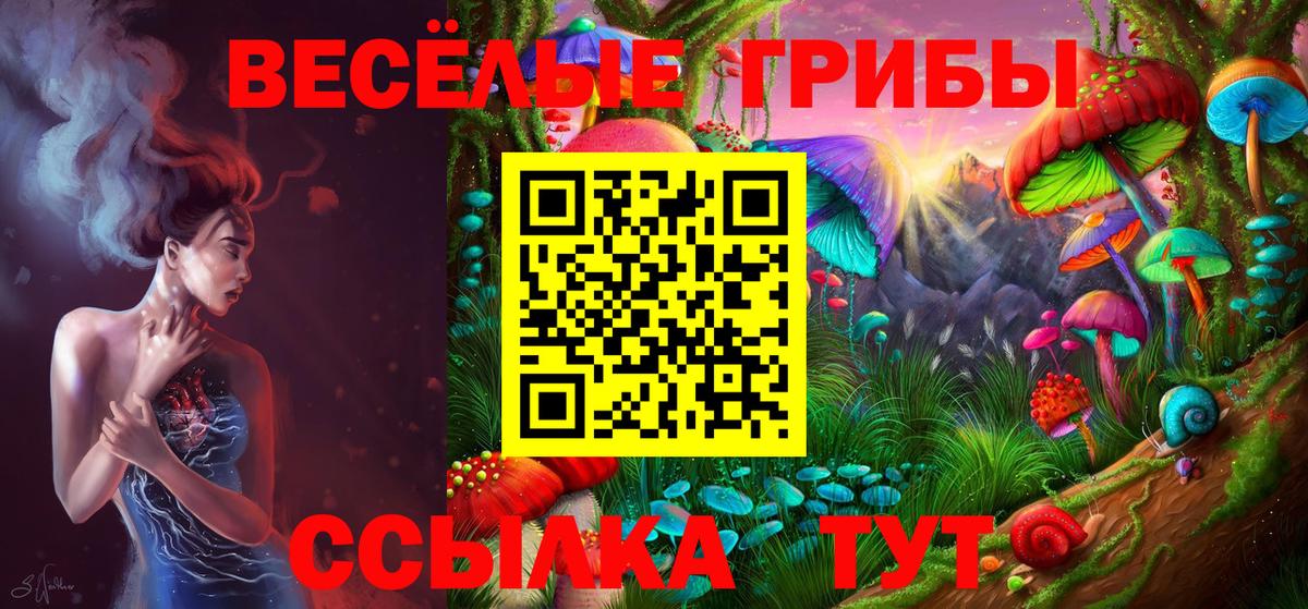 Галлюциногенные грибы мицелий Кимры