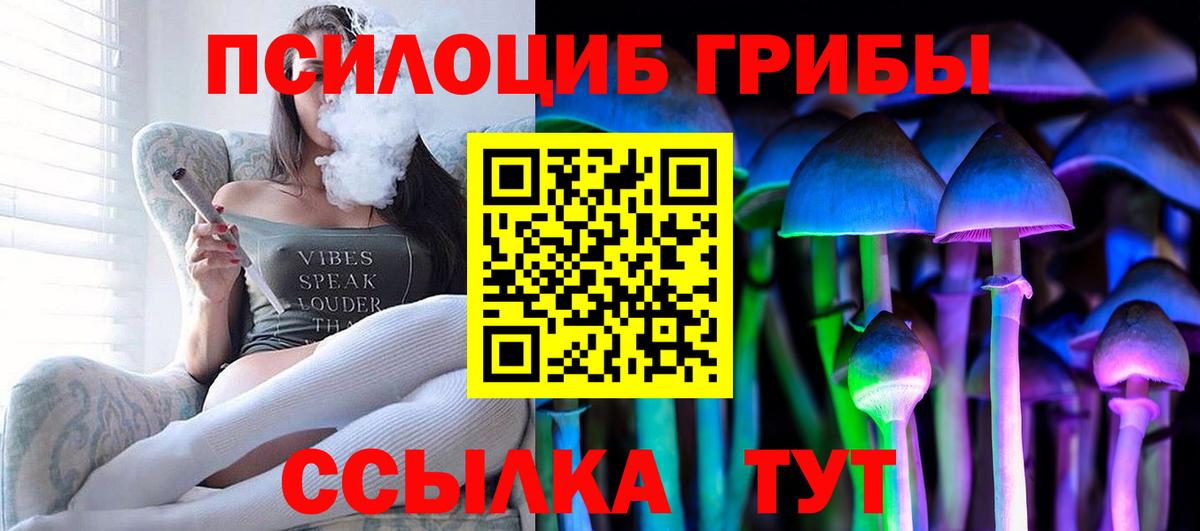 Кимры  Галлюциногенные грибы MAGIC MUSHROOMS  Вход с VPN 